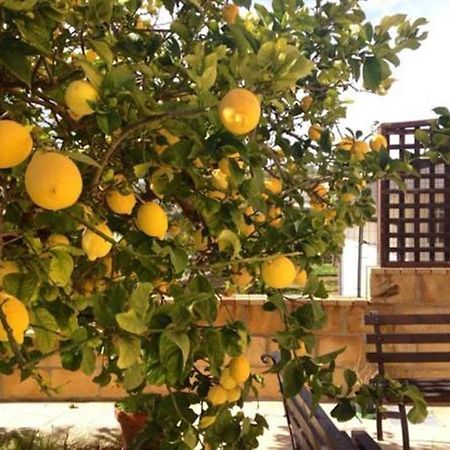 Villa Mara B&B Ното Екстер'єр фото