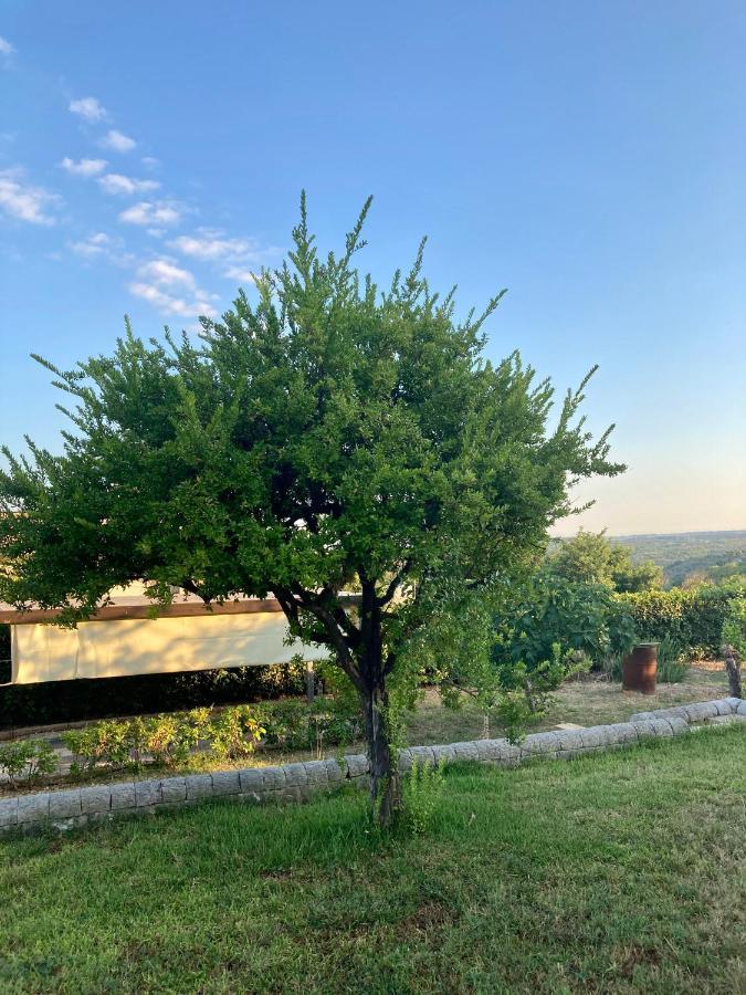 Villa Mara B&B Ното Екстер'єр фото