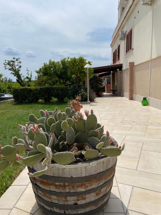 Villa Mara B&B Ното Екстер'єр фото