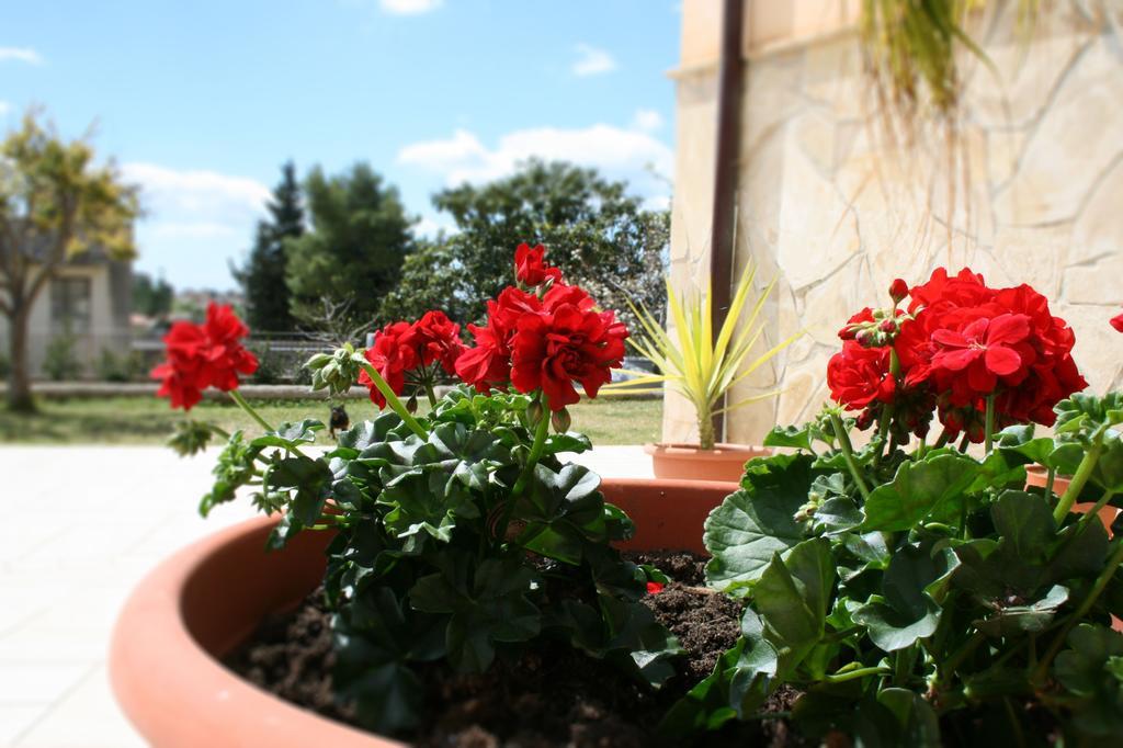 Villa Mara B&B Ното Екстер'єр фото