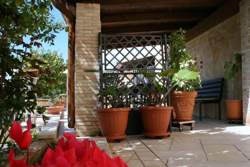 Villa Mara B&B Ното Екстер'єр фото