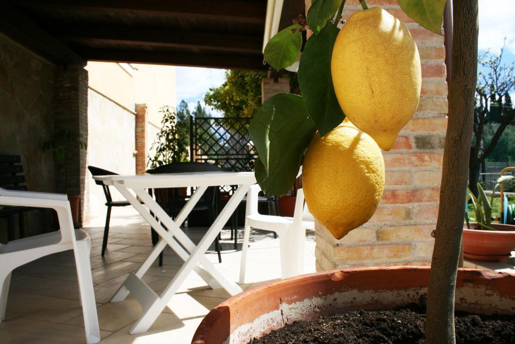 Villa Mara B&B Ното Екстер'єр фото