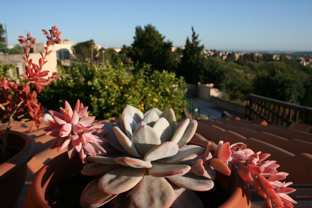 Villa Mara B&B Ното Екстер'єр фото